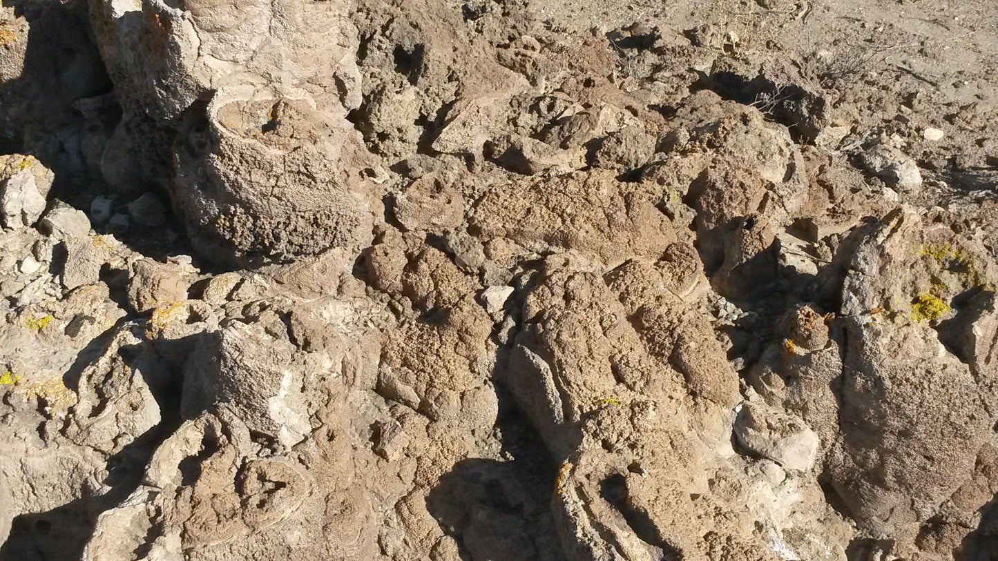 Geyserite