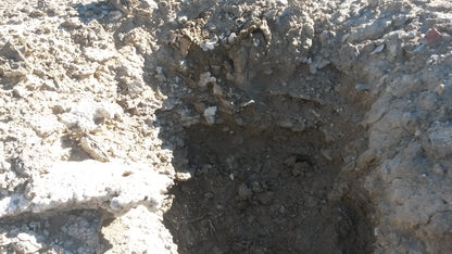 Geyserite