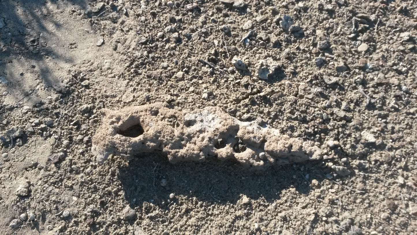 Geyserite