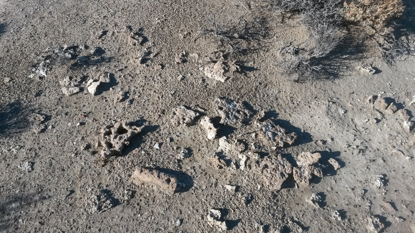 Geyserite