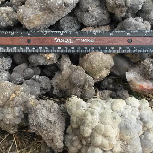 Barite  Nodules, Barite after Coprolite: Rare Earth Nodules