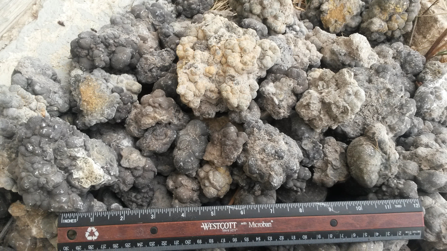 Barite Nodules, Barite after Coprolite: Rare Earth Nodules