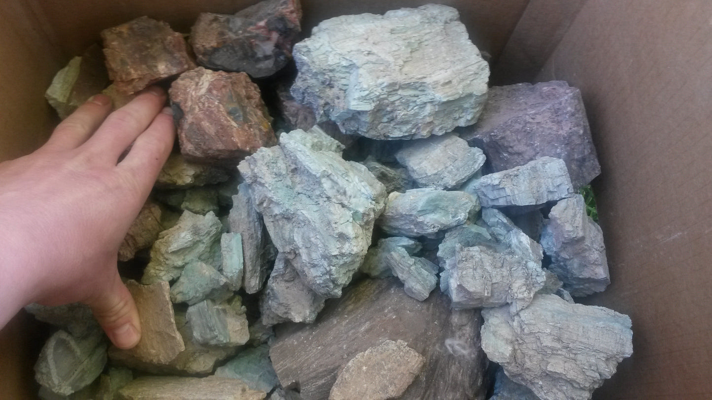 Petrified Wood: Colorful/Rainbow/Red
