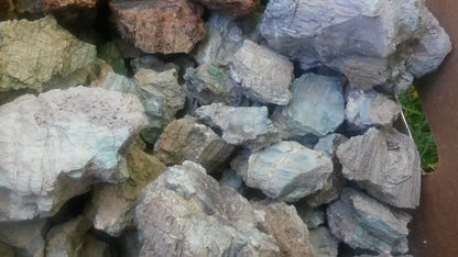 Petrified Wood: Colorful/Rainbow/Red