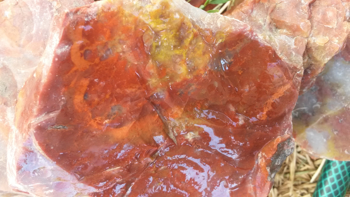 Blood Swirl Agate; Red Agate