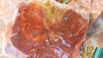 Blood Swirl Agate; Red Agate