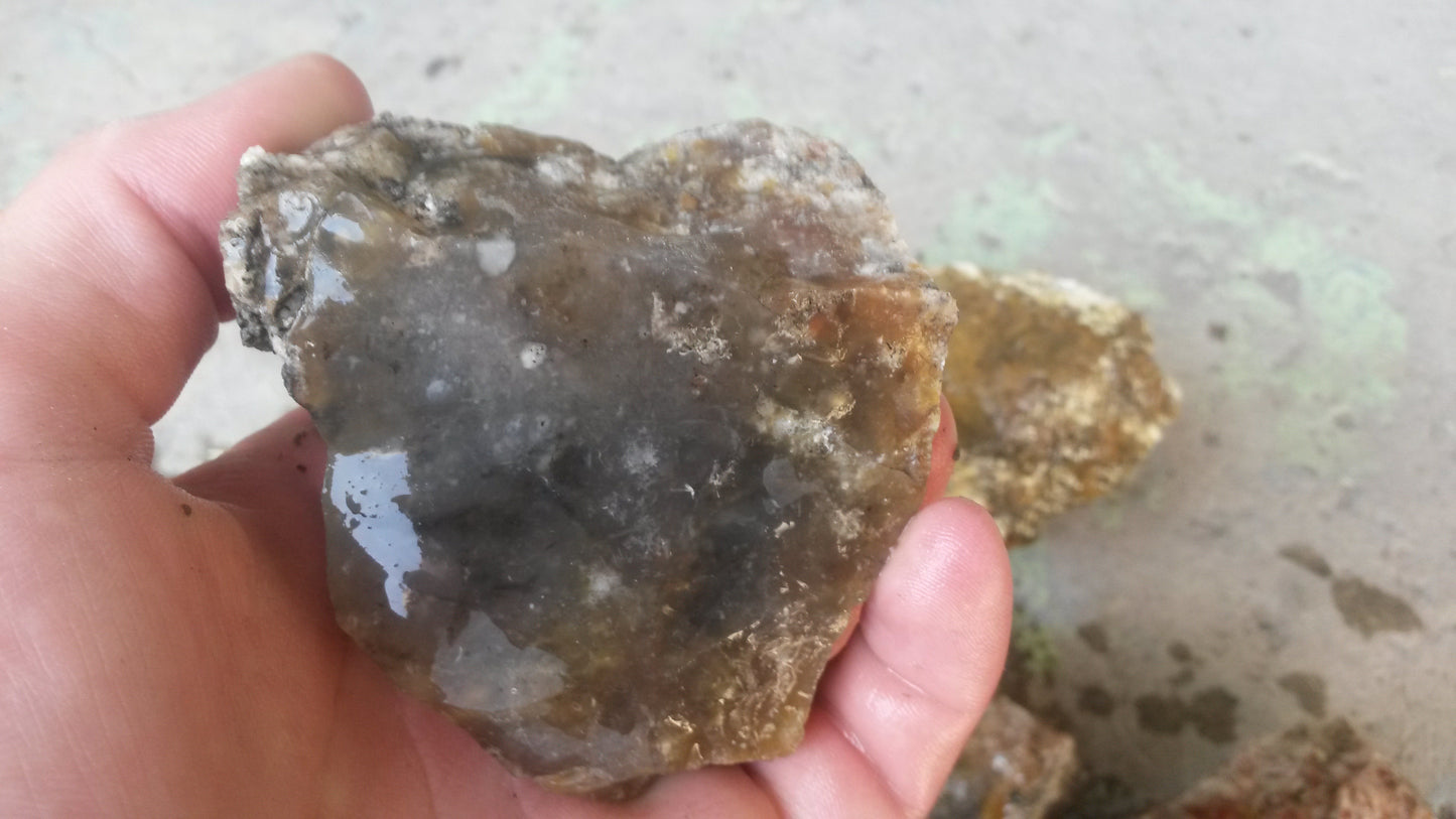 Multicolored Agate