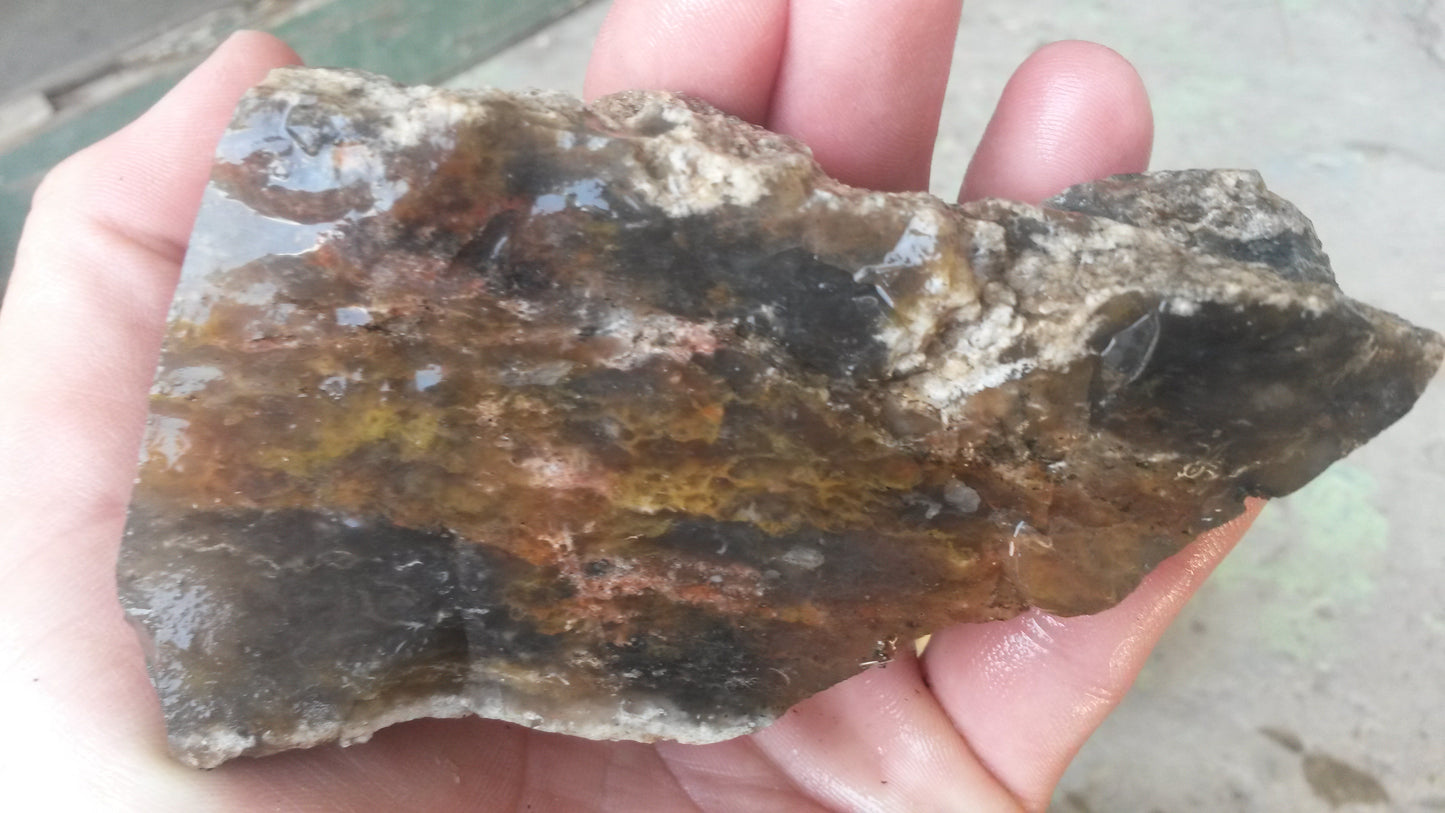 Multicolored Agate