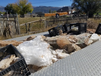 Selenite Crystal, Utah Ice