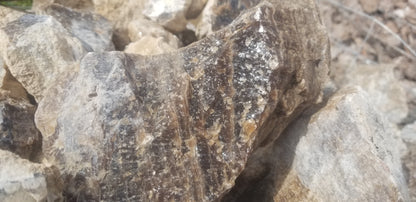 Root Beer Onyx w/ Aragonite