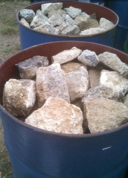 Turitella Agate