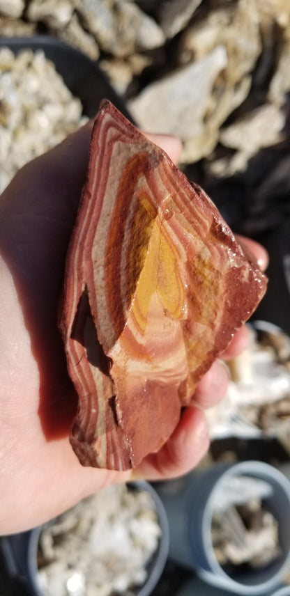 Wonderstone: Red Banded