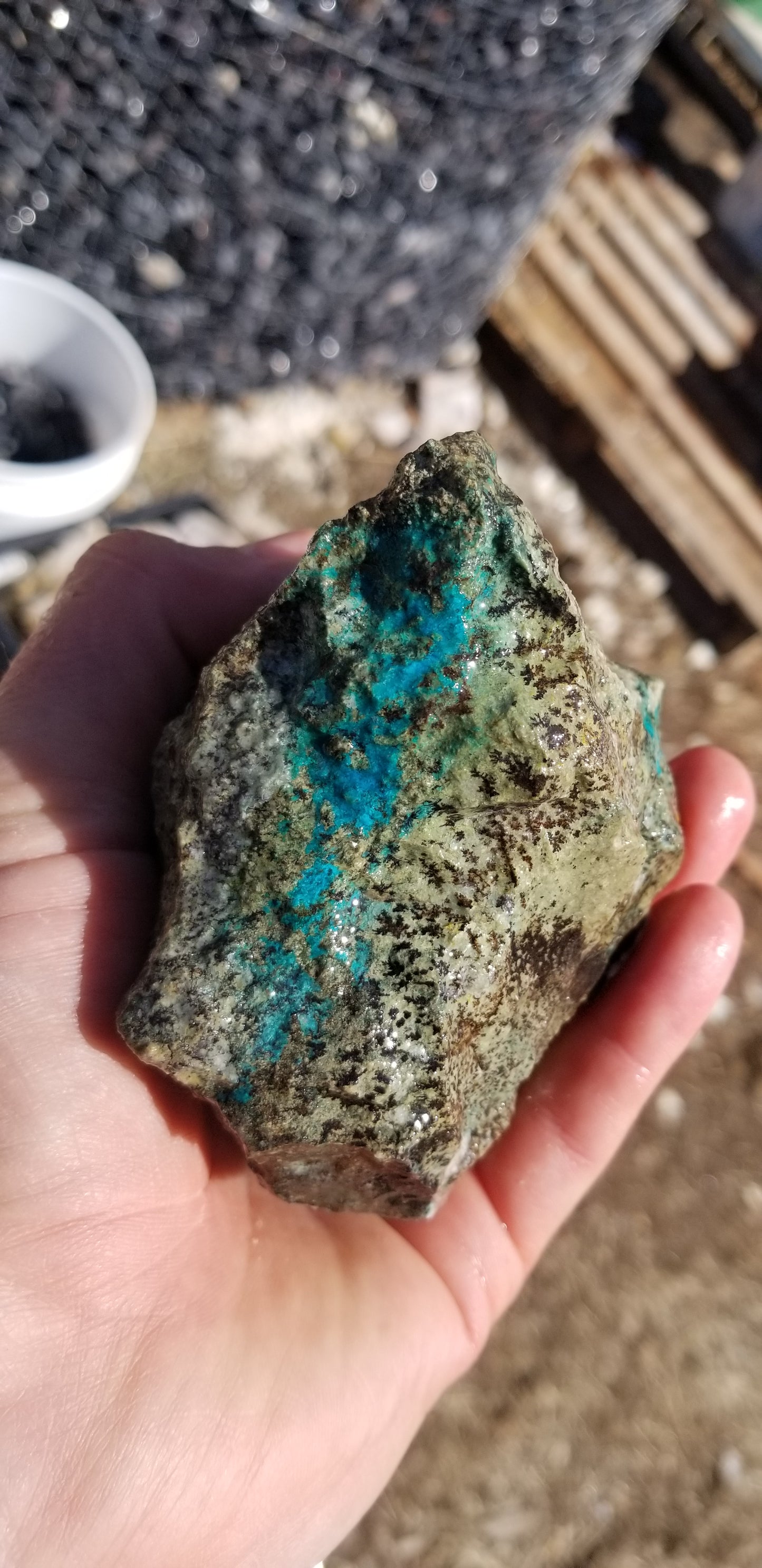 Chrysocolla w/ Magnetite and Medmontite