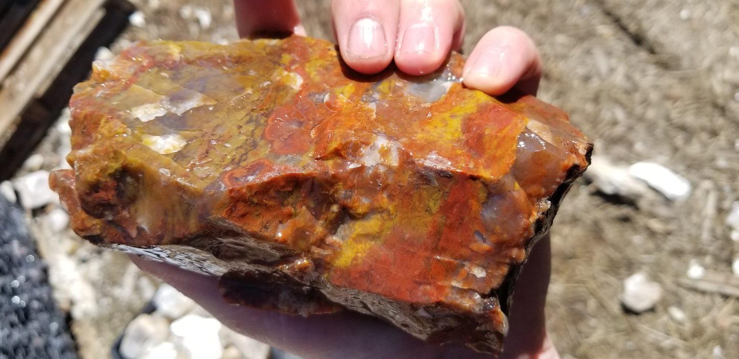 Blood Swirl Agate; Red Agate