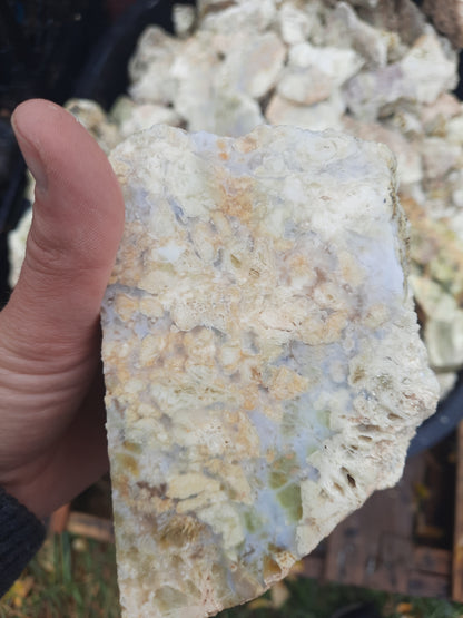Lemon Opal