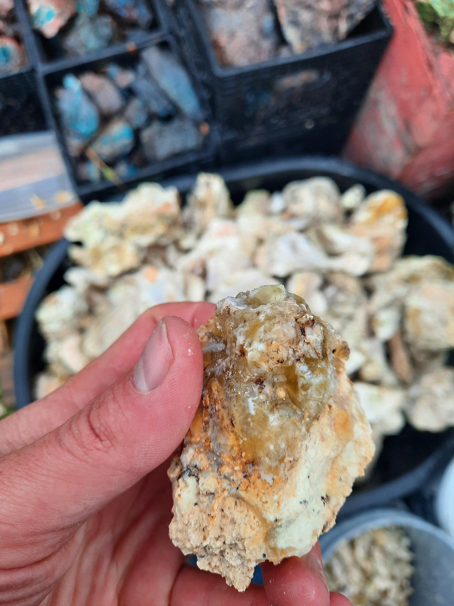 Lemon Opal