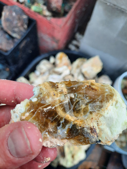 Lemon Opal