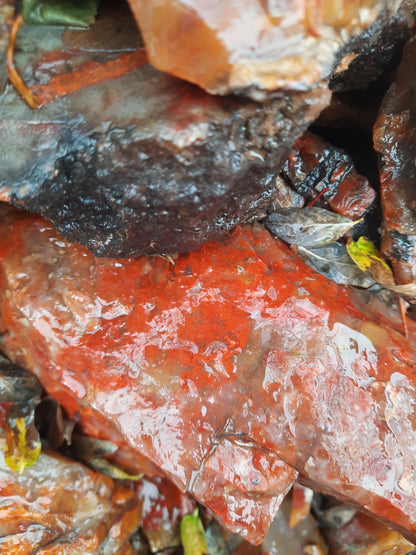 Blood Swirl Agate; Red Agate