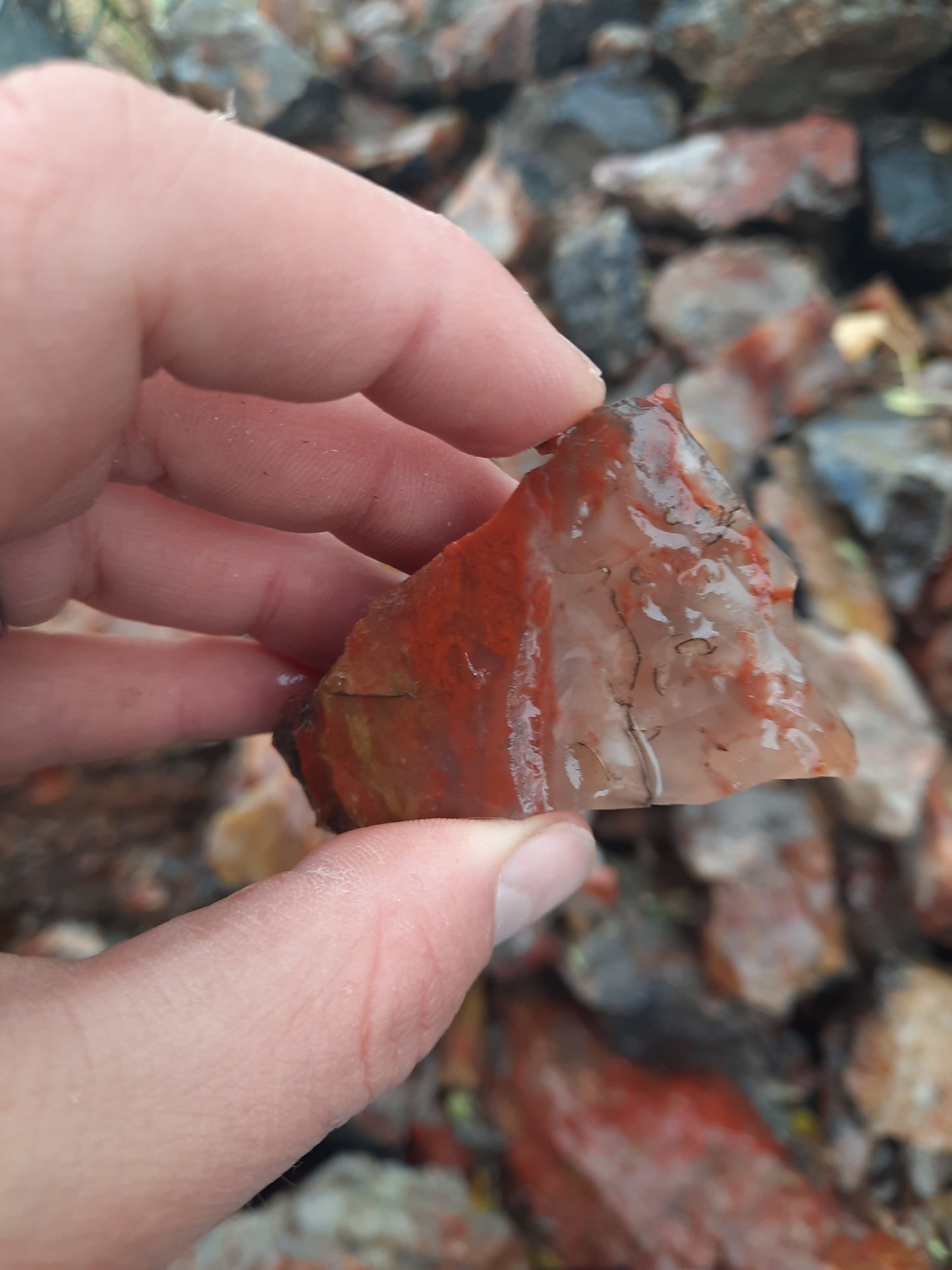 Blood Swirl Agate; Red Agate