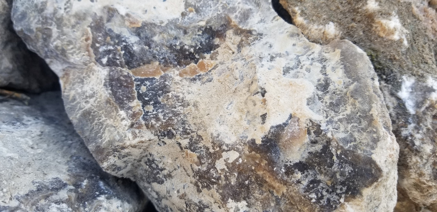 Root Beer Onyx w/ Aragonite
