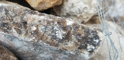 Root Beer Onyx w/ Aragonite
