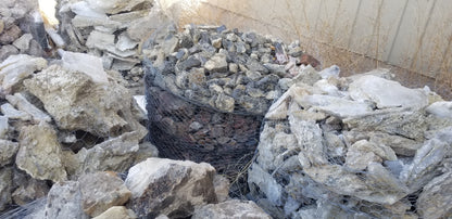 Turitella Agate