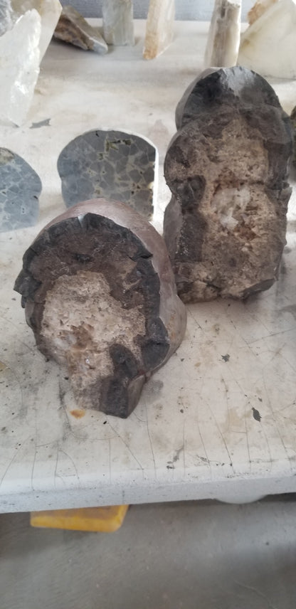Septarian Nodules: Apatite, Aragonite, Calcite
