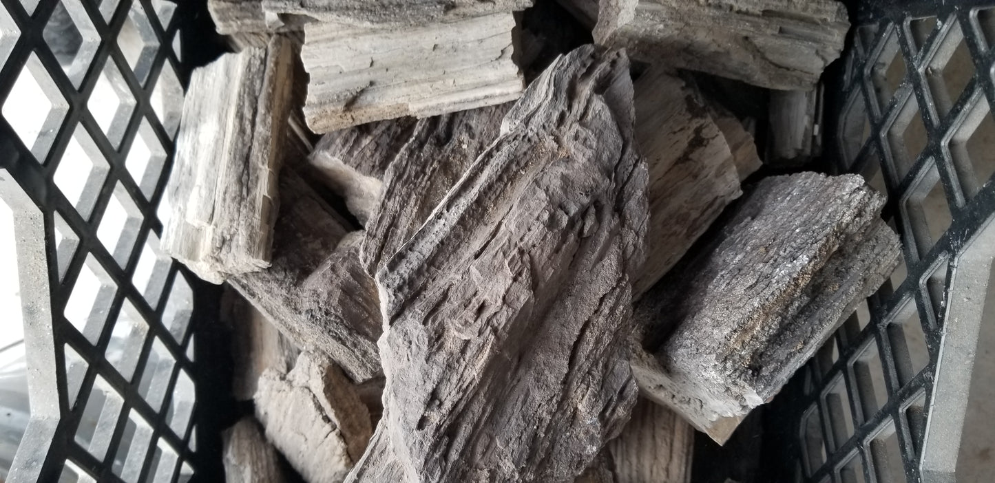 Petrified Wood: Dark