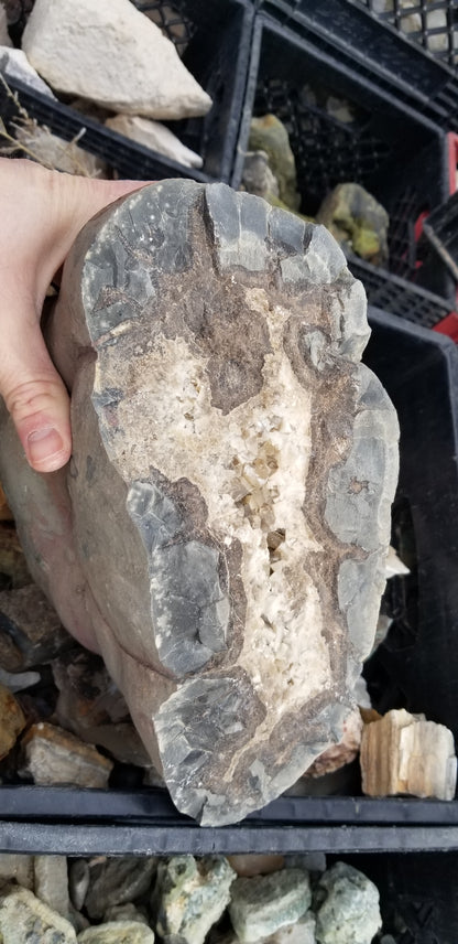 Septarian Nodules: Apatite, Aragonite, Calcite