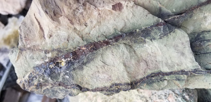 Chrysocolla w/ Magnetite and Medmontite