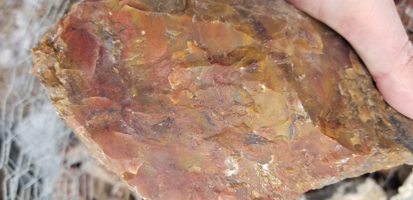 Multicolored Agate