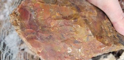 Multicolored Agate