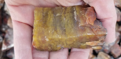 Jasper, Yellow: Canary Day