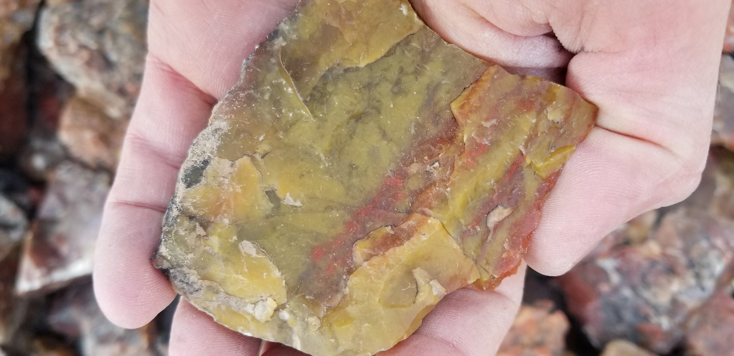 Jasper, Yellow: Canary Day