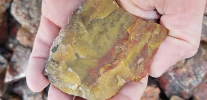Jasper, Yellow: Canary Day