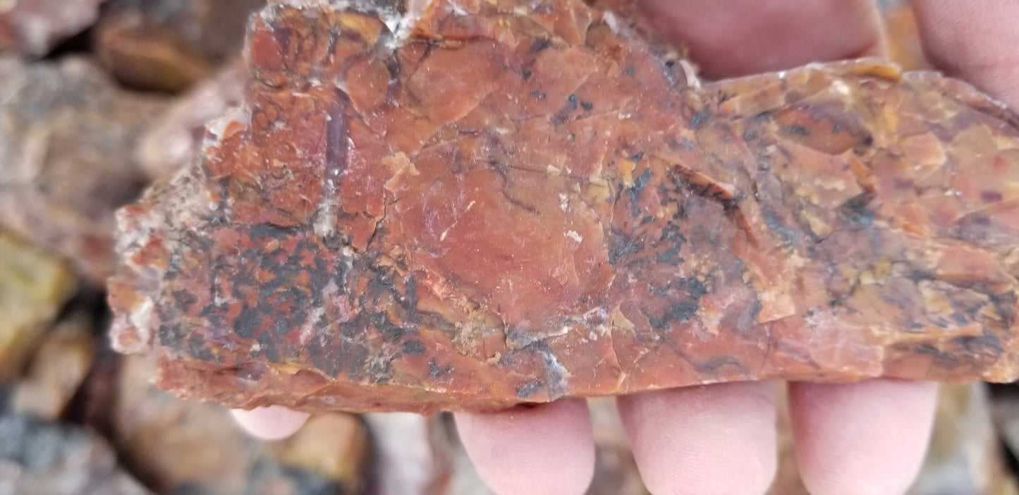 Jasper, Red: Paparika Red