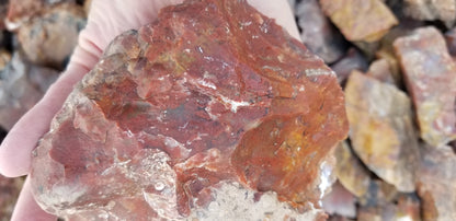 Blood Swirl Agate; Red Agate