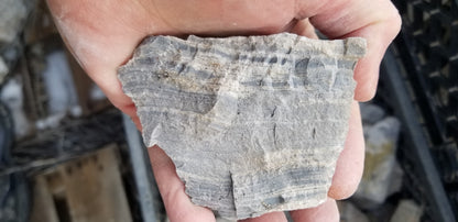 Wonderstone: Purple Banded