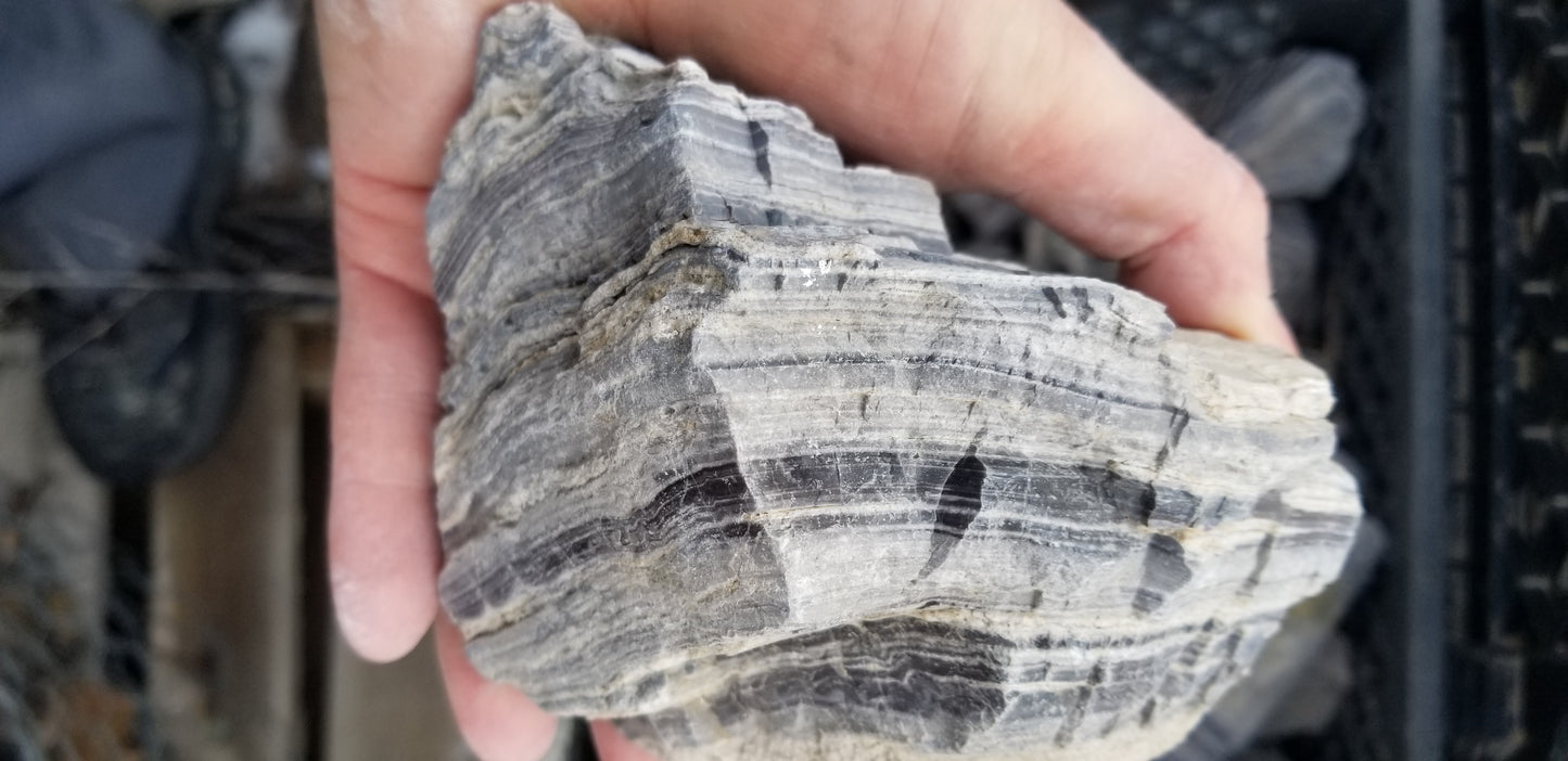 Wonderstone: Purple Banded