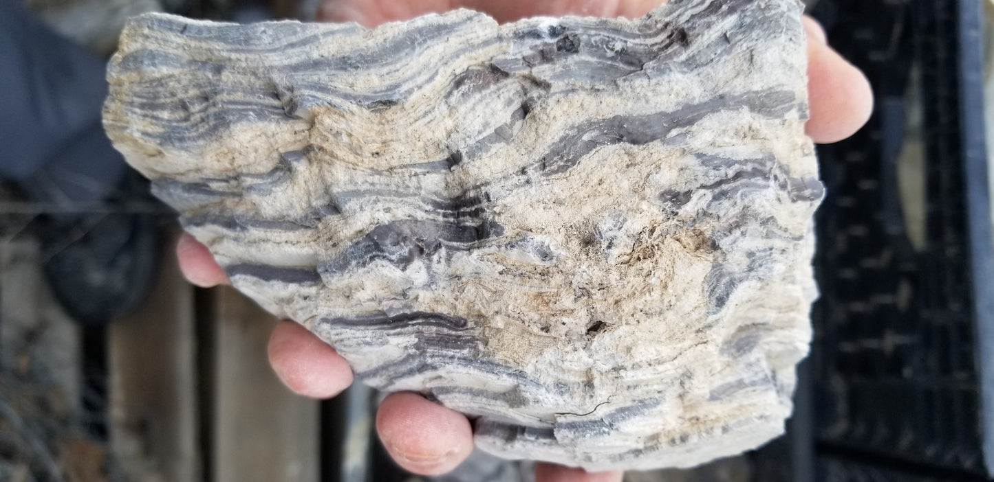 Wonderstone: Purple Banded