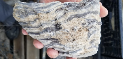 Wonderstone: Purple Banded