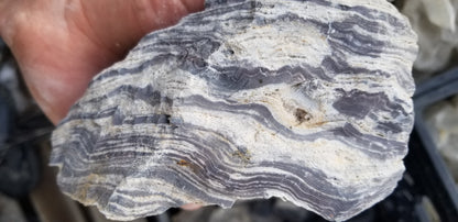 Wonderstone: Purple Banded