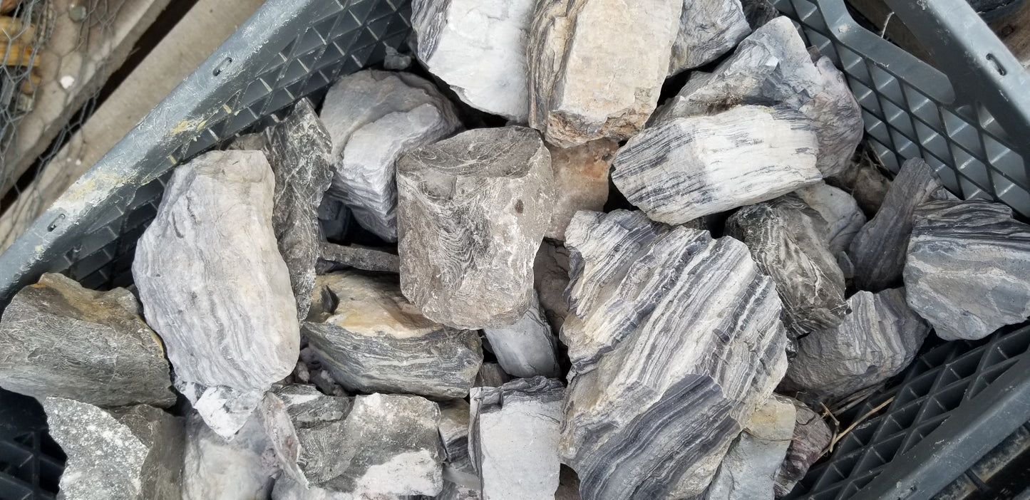 Wonderstone: Purple Banded