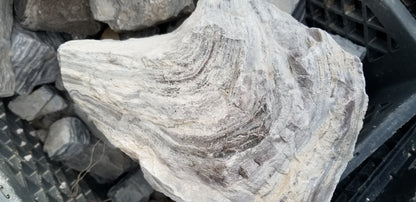Wonderstone: Purple Banded