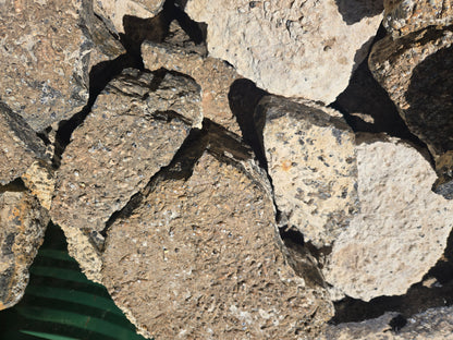 Turitella Agate