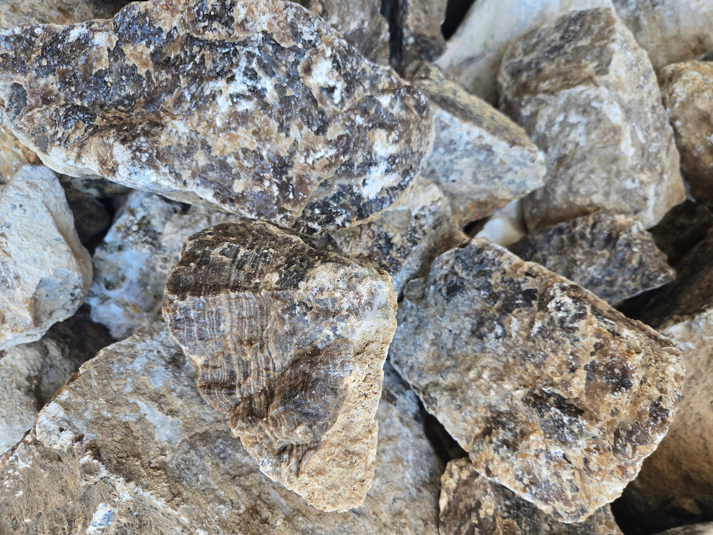 Root Beer Onyx w/ Aragonite