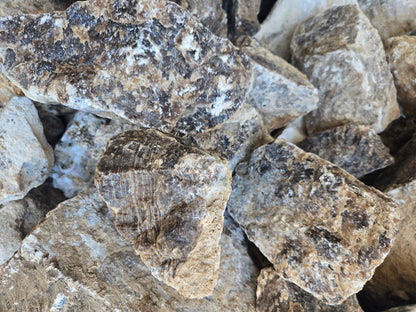 Root Beer Onyx w/ Aragonite