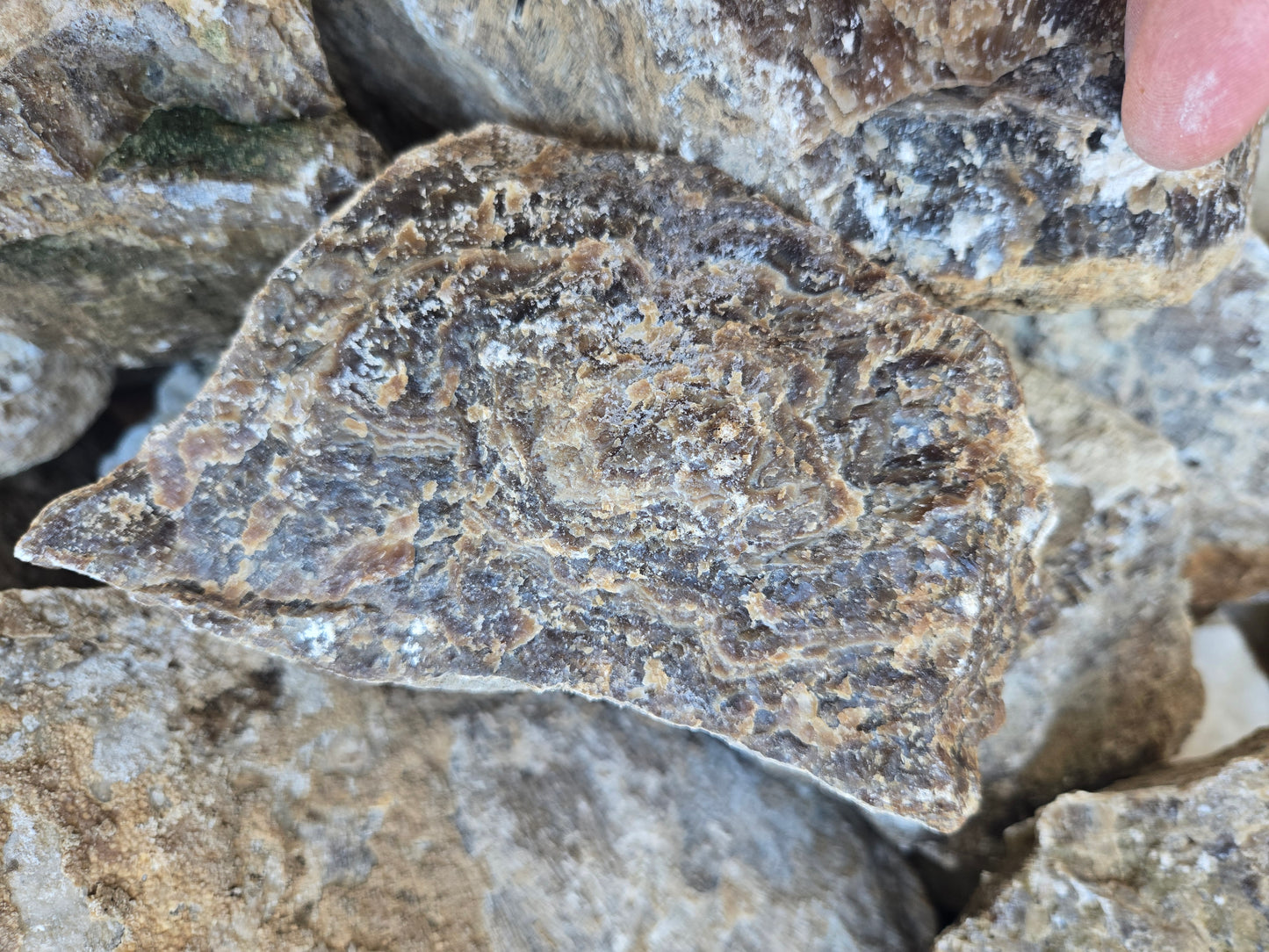Root Beer Onyx w/ Aragonite