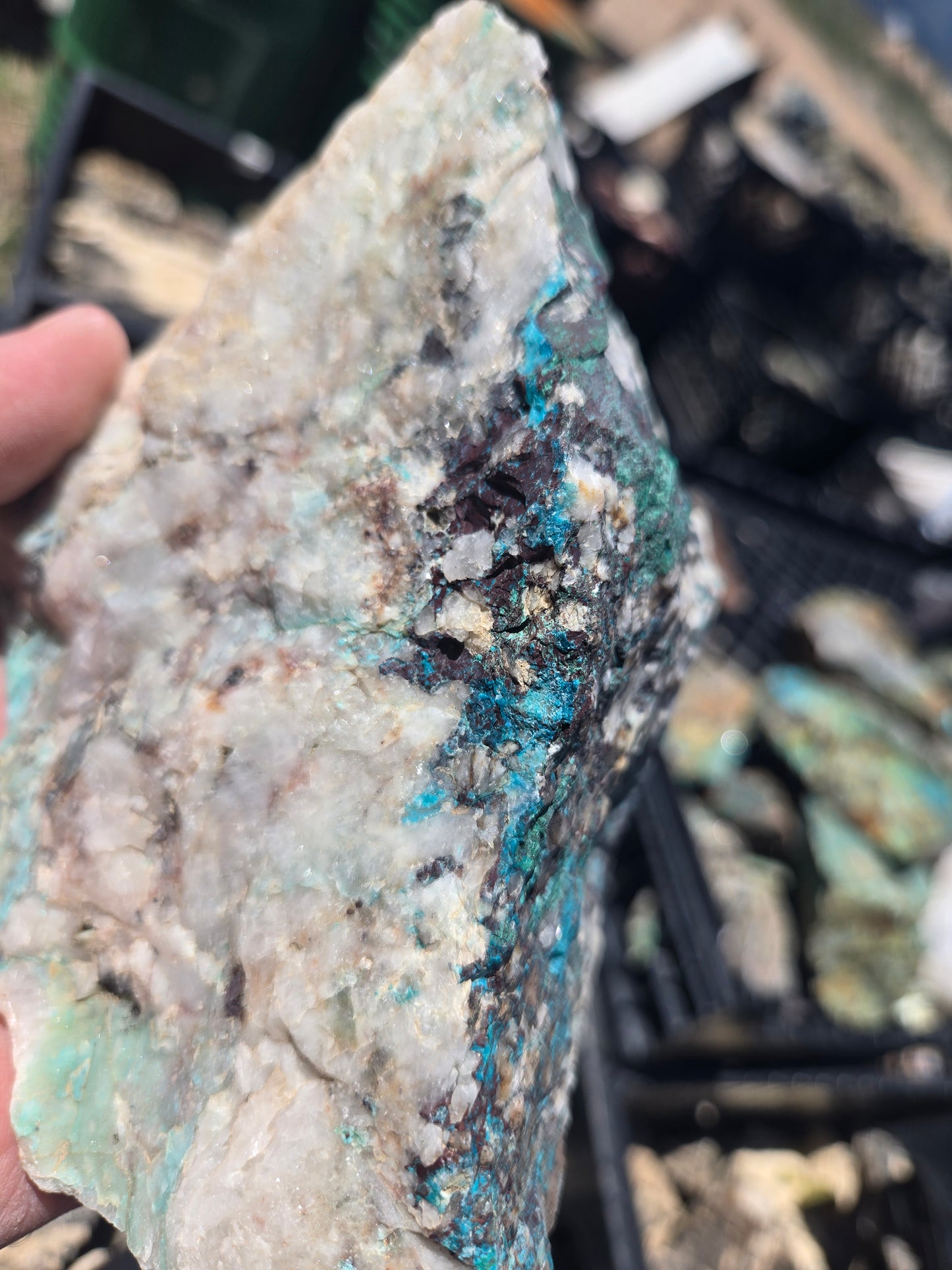 Chrysocolla: W/ Quartz