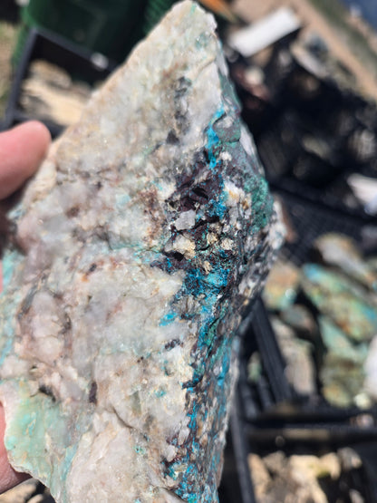 Chrysocolla: W/ Quartz